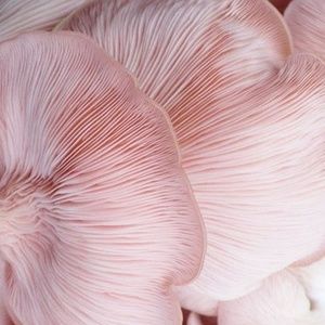 I was forced to post something here